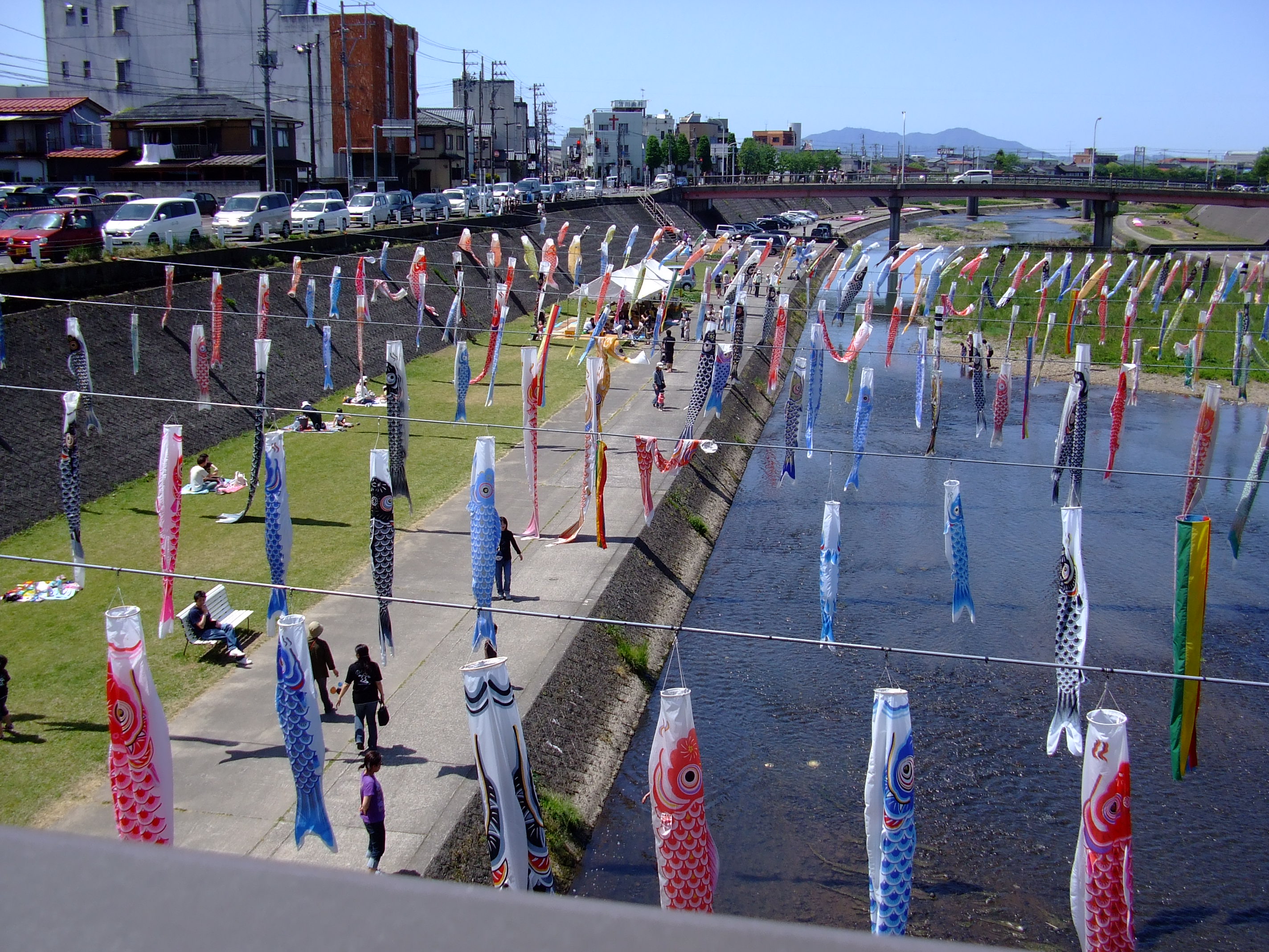 加茂川でこいのぼりが泳いでいます 小さな京都ではなく たった一つの加茂市の風景